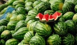 怀仁网红大瓜最新消息 吃瓜群众在七零,七零社区热议事件全解析”